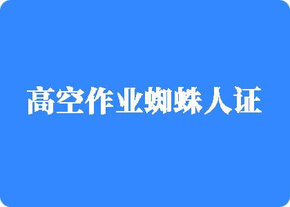 欧美老肥婆激情偷拍高空作业蜘蛛人证